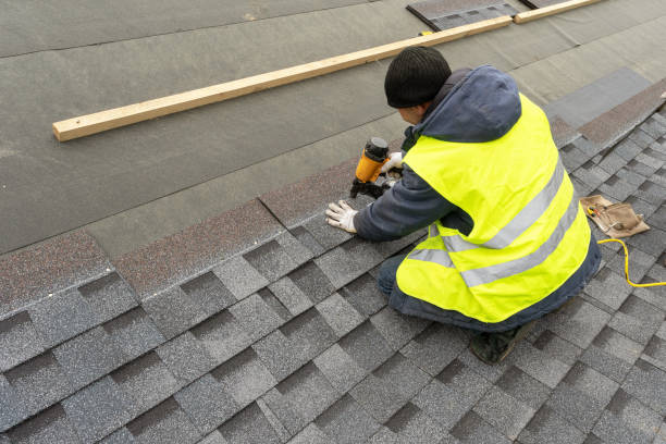 Best Storm Damage Roof Repair  in Johnson Lane, NV