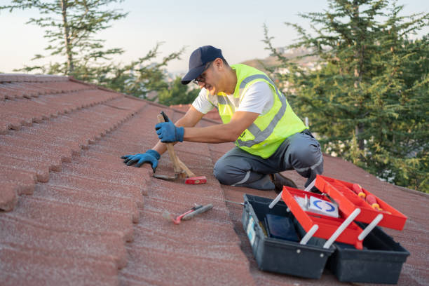 Residential Roof Replacement in Johnson Lane, NV