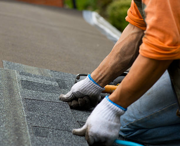 Best Emergency Roof Repair  in Johnson Lane, NV