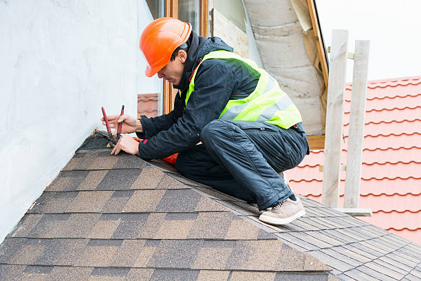 Best Residential Roofing Contractor  in Johnson Lane, NV
