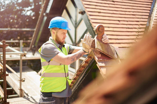 Best Local Roofing Companies  in Johnson Lane, NV