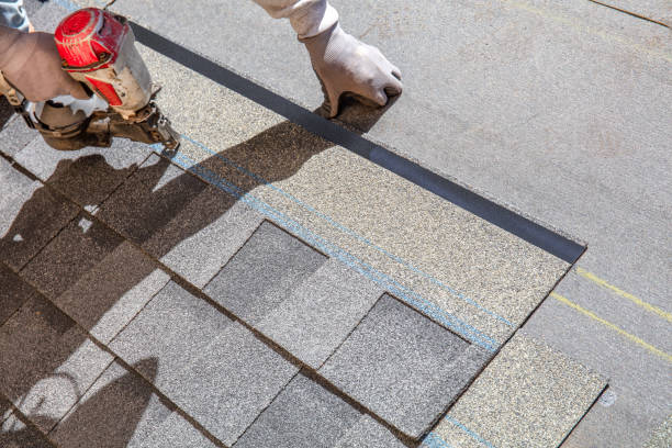 Best Commercial Roofing Services  in Johnson Lane, NV