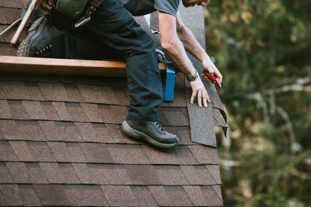 Best Roof Waterproofing Services  in Johnson Lane, NV